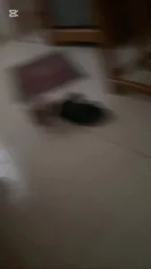 自拍，广西大学室友还是太猛了，4P坐台妹哇哇叫